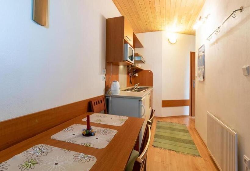 带1个卧室的公寓, Family Apartments