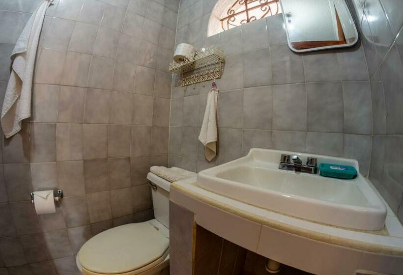 2 Yatak Odalı Daire, Delfin