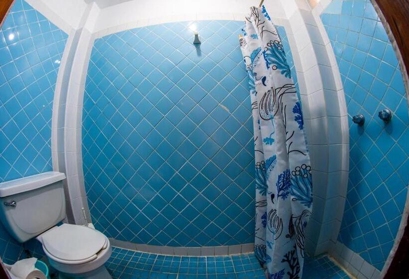 Quarto Familiar, Delfin