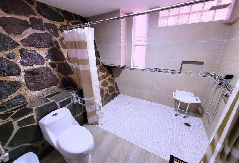 Quarto Estandar para Deficientes Físicos, Tierras Blancas