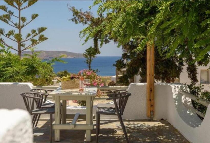 إستديو قياسى مطل على حمام السباحة, Ambiente Luxury Suites