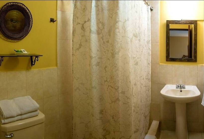 스탠다드 싱글 룸, Hostal Villa Toscana