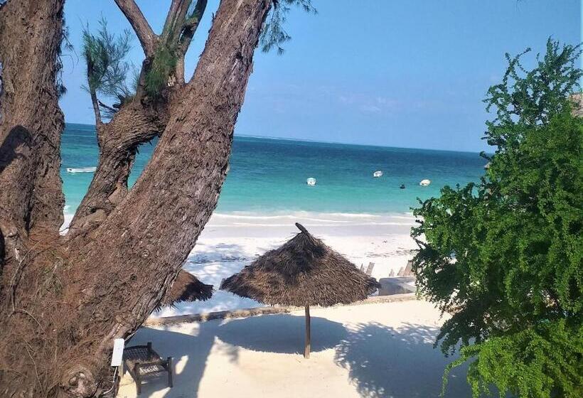 اتاق لوکس با چشم‌انداز دریا, Kaure Sand Beach Lodge