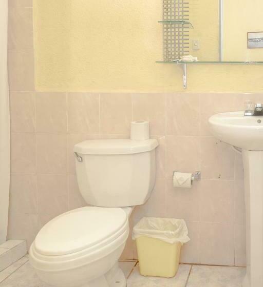 اتاق استاندارد سه نفره, Sabana