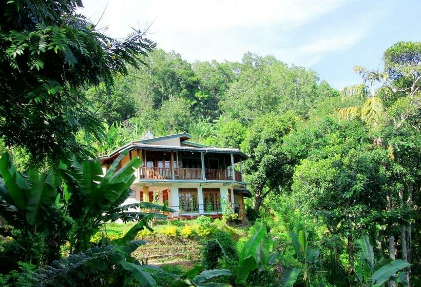 Quarto Estandar Vista Montanha, Blue Ribbon Homestay