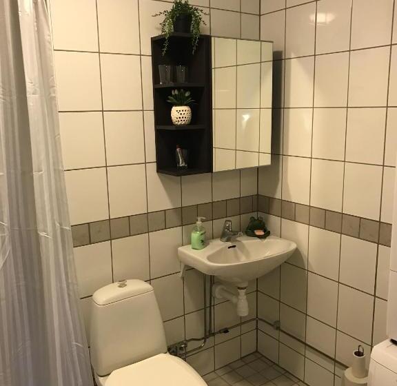 共用浴室的经济型房间, Hedemora Logi