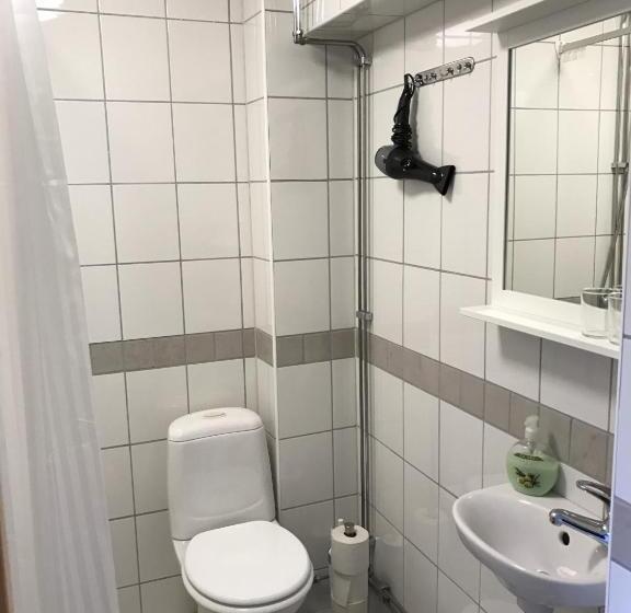 标准间, Hedemora Logi