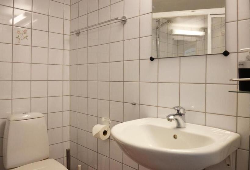 Люкс Дюплекс, Torsborgs Gård