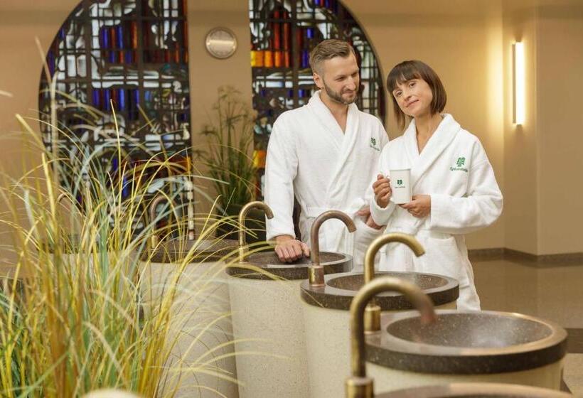 اتاق استاندارد, Eglė Plus Medical Spa