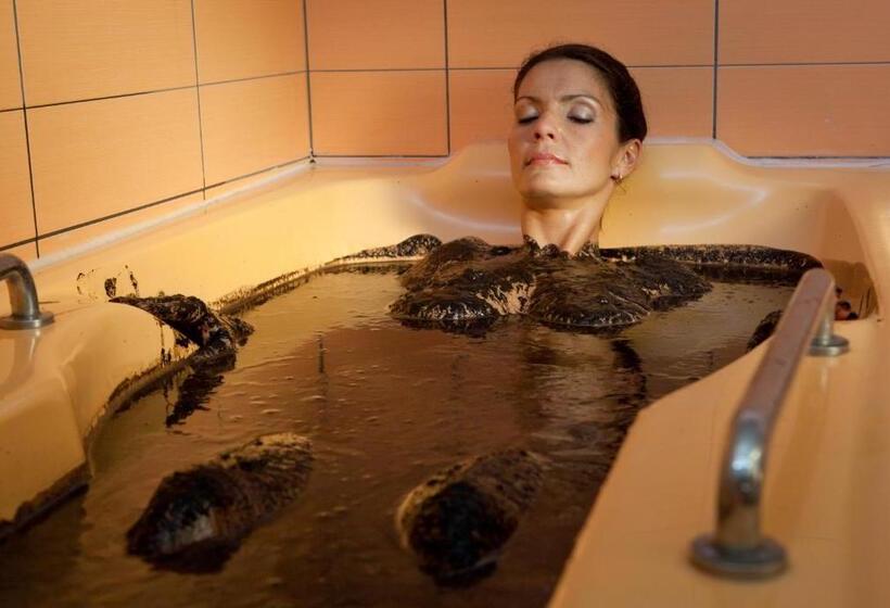 اتاق استاندارد یک نفره, Eglė Plus Medical Spa