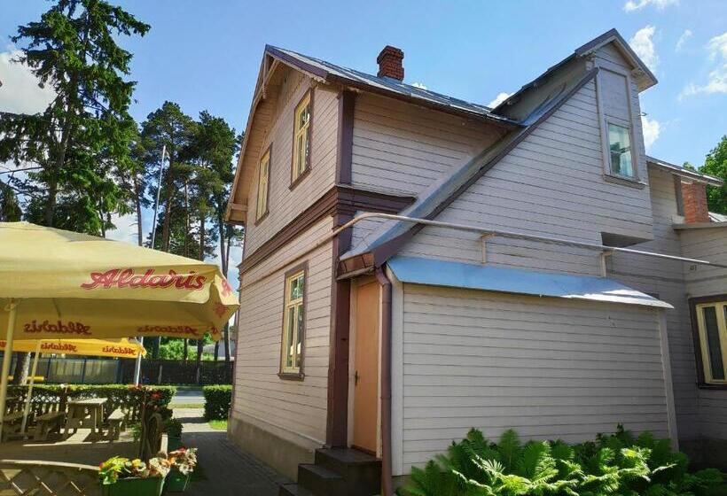 1 Yatak Odalı Daire, Elīna