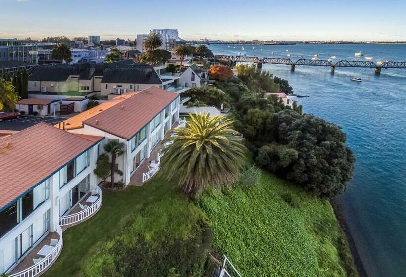 이그제큐티브 스위트, The Tauranga On The Waterfront