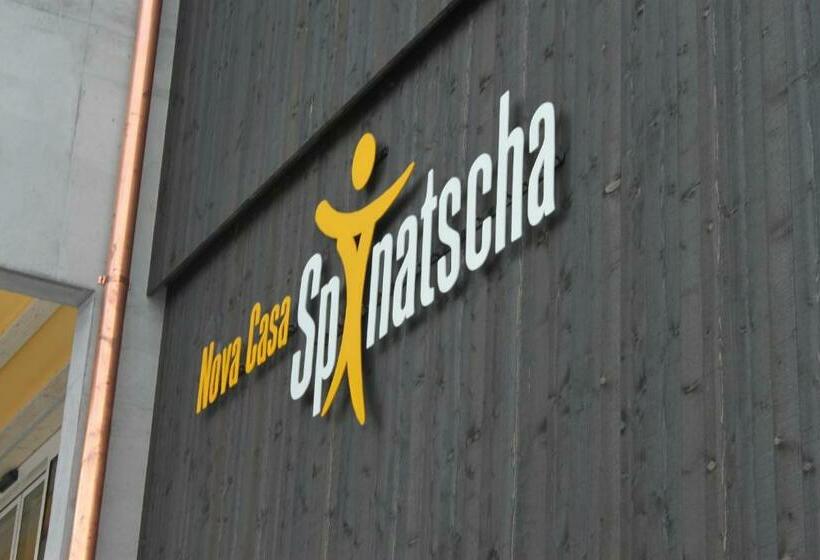 חדר סטנדרט יחיד, Nova Casa Spinatscha Sedrun