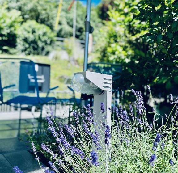 Номер Стандарт, Bed Bike And Breakfast Olten
