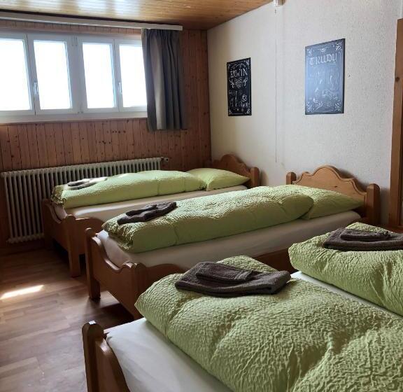 اتاق استاندارد چهارنفره با سرویس بهداشتی مشترک, Bärghuis Jochpass   Alpine Hideaway   2222müm