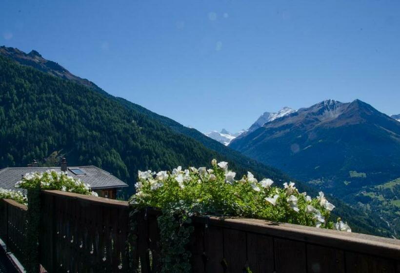 Номер Superior, Hôtel Le Grand Chalet Favre