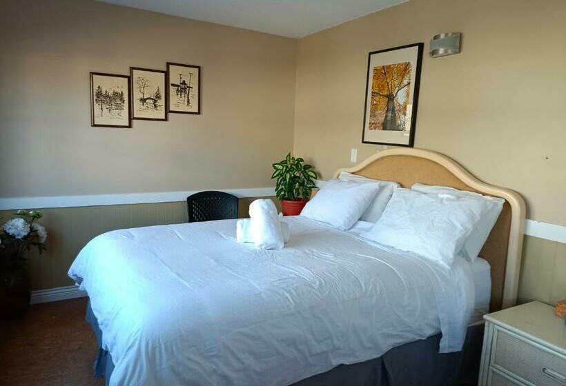 带共用浴室的标准房间, Painted Turtle Guesthouse