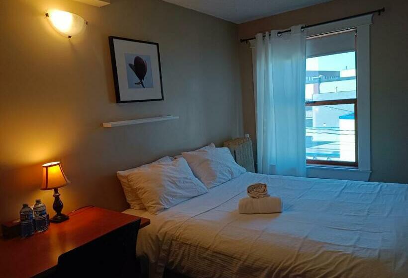 带共用浴室的标准房间, Painted Turtle Guesthouse