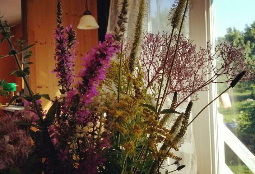 스위트, Gîte Aux Jardins De L Anse