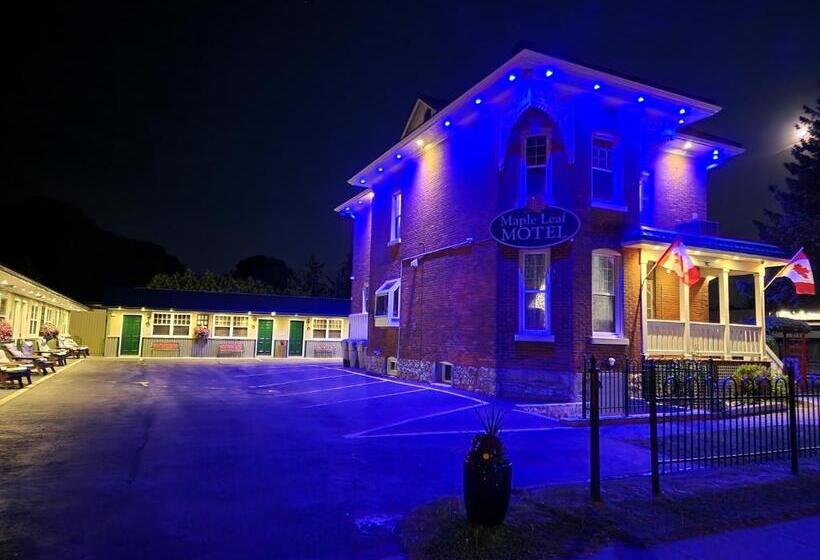 Номер Стандарт, Maple Leaf Motel