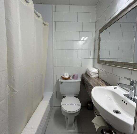 Номер Стандарт, Motel Panoramique
