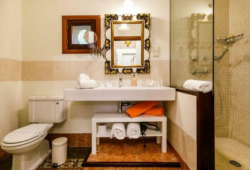 غرفة قياسية, Finca Cas Sant