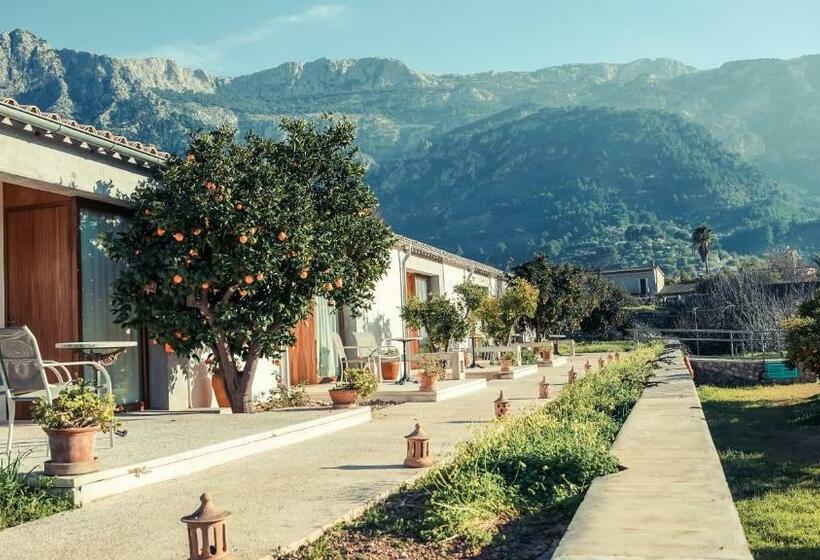 Номер Superior с Террасой, Finca Cas Sant
