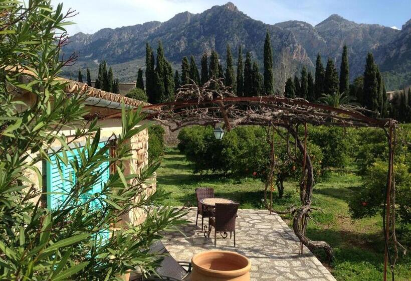 Номер Стандарт с Террасой, Finca Cas Sant