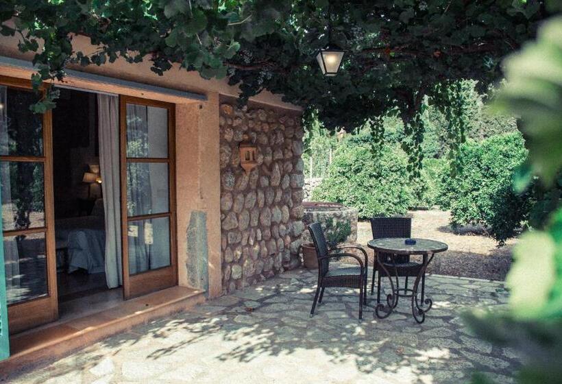 غرفة قياسية مزوَّدة بتراس, Finca Cas Sant