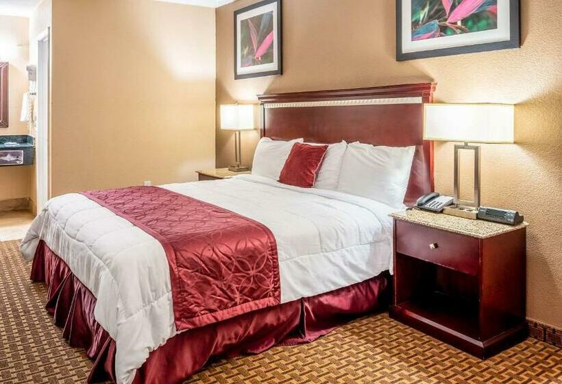 스탠다드 룸 킹사이즈 침대, Rodeway Inn