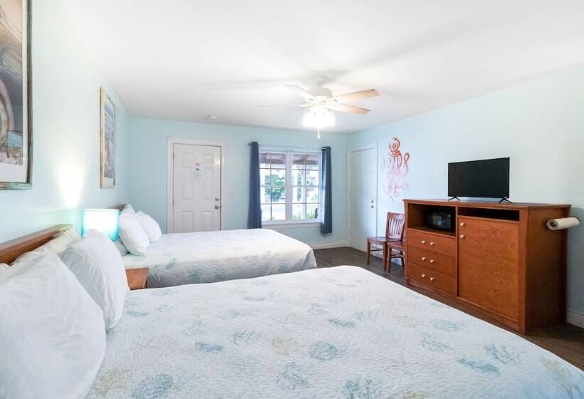 اتاق لوکس, Tropic Island Resort