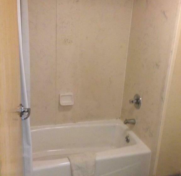 带2个双人床的标准工作室, Sky Suites