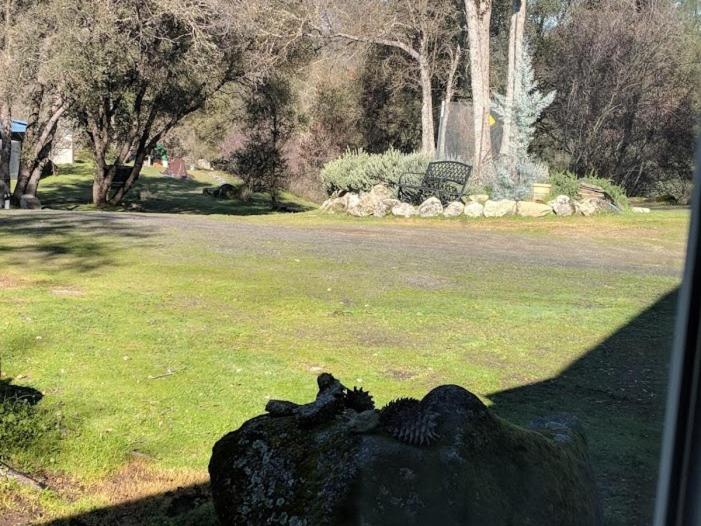 Четырехместный Номер Стандарт, Yosemite Nights B&b