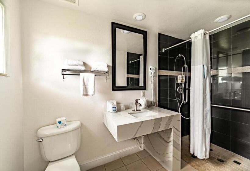 Номер Стандарт Кровать Кинг Адаптированный для Инвалидов, Everglades City Motel   Everglades Adventures Inn