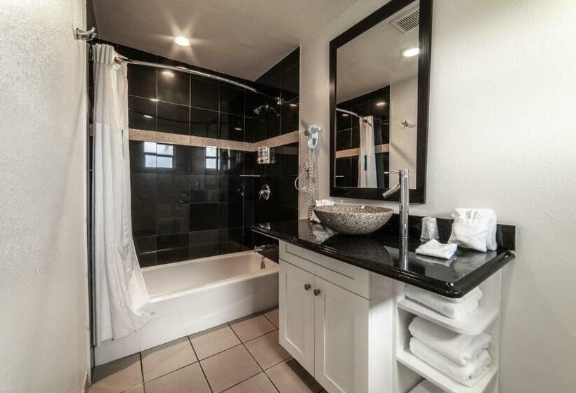Номер Стандарт, Everglades City Motel   Everglades Adventures Inn