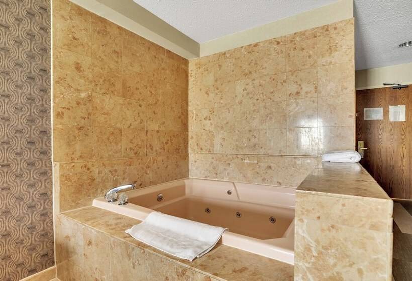 Номер Стандарт Двуспальная Кровать, Horizon Inn