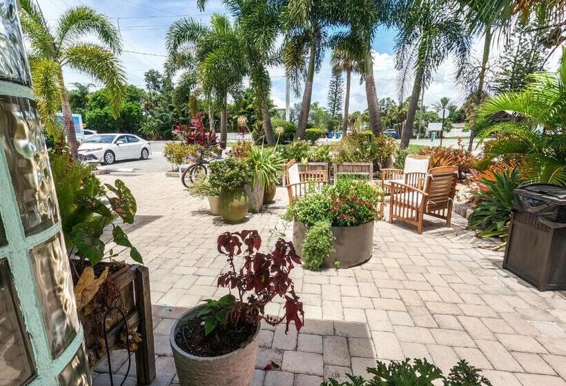 סוויטה דלוקס, Haley S At The Anna Maria Island Inn
