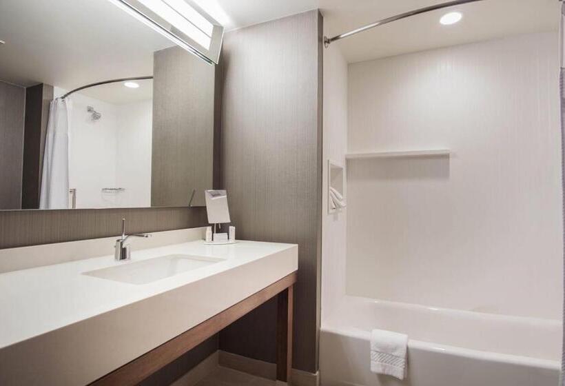 장애인을 위한 킹사이즈 침대 스탠다드 룸, Courtyard By Marriott Lenox Berkshires