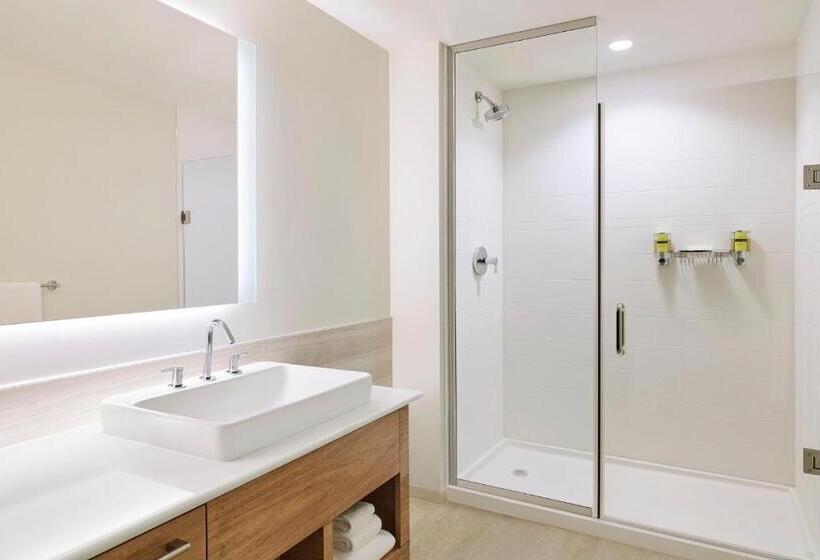 استودیوی استاندارد با تخت دو نفره بزرگ, Element West Des Moines