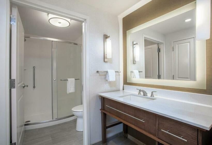 Люкс Deluxe Кровать Кинг, Homewood Suites By Hilton Saratoga Springs
