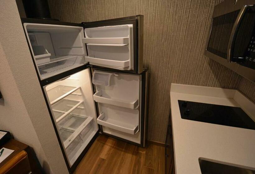 Deluxe Suite King Bed, Homewood Suites By Hilton Saratoga Springs