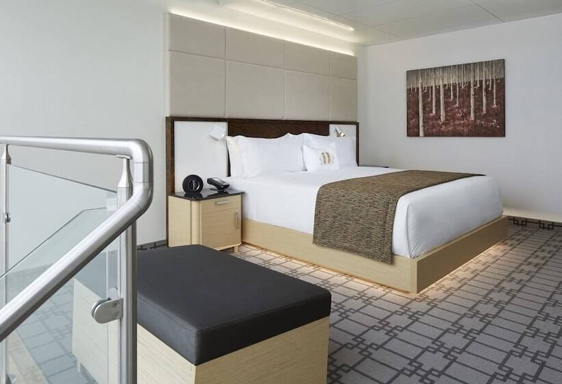 Quarto Premium, Le Mount Stephen