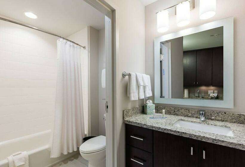 Люкс, Towneplace Suites By Marriott Orlando At Seaworld