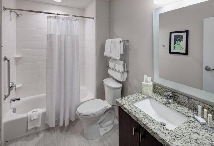 Люкс, Towneplace Suites By Marriott Orlando At Seaworld