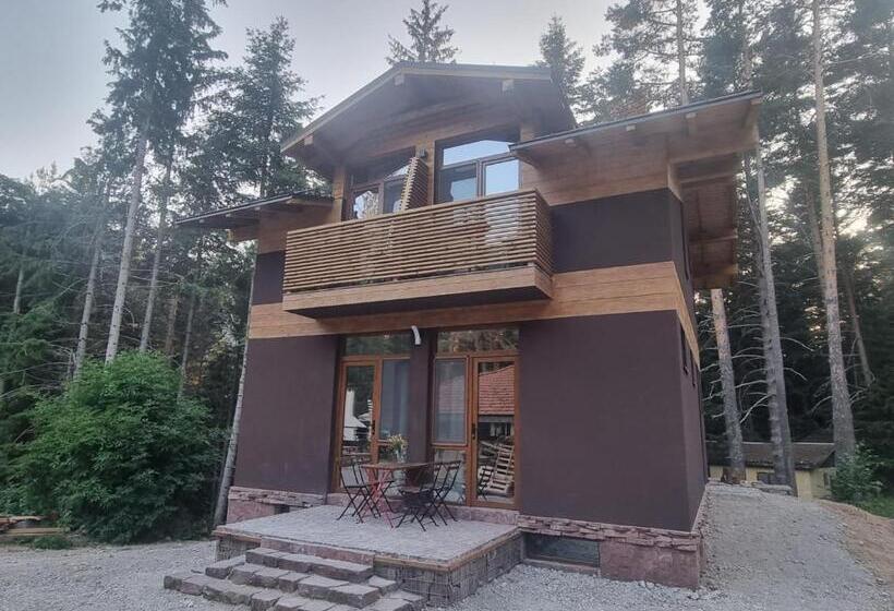 Студио Стандарт с Видом, Restaurant 6ato Rila