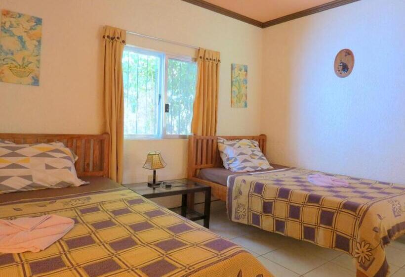 اتاق خانوادگی, Alonaland Resort