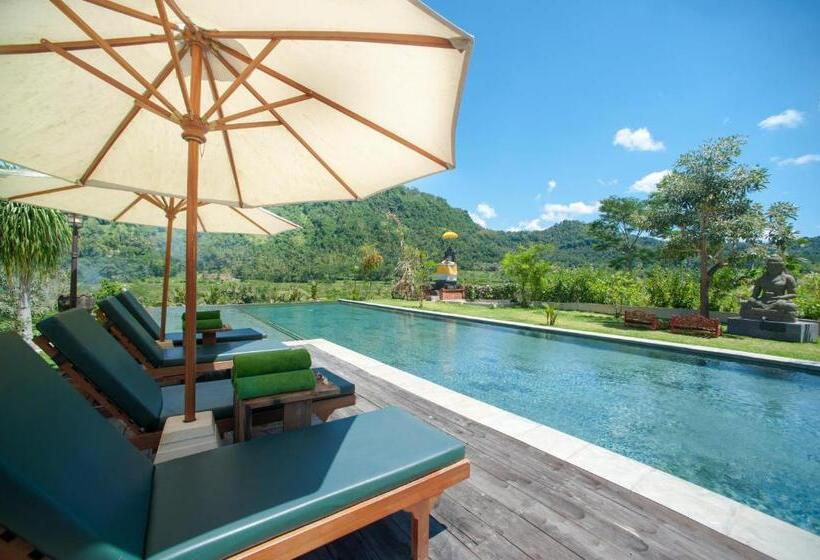 스위트, Villa Kropak