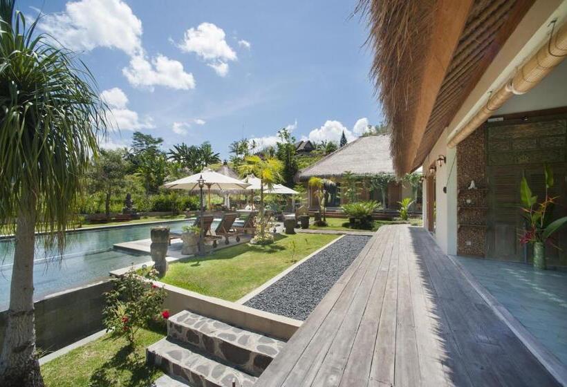 디럭스 스위트, Villa Kropak