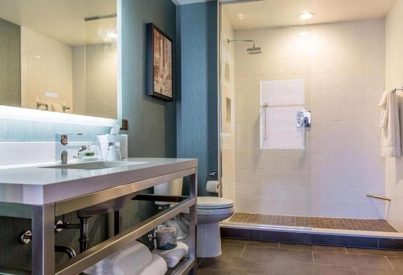 Люкс Адаптированный для Инвалидов, Cambria Hotel Chicago Loop   Theatre District