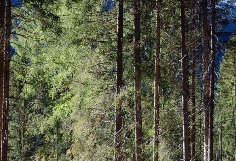 샬레, Chalet Nel Doch Villa Cheia
